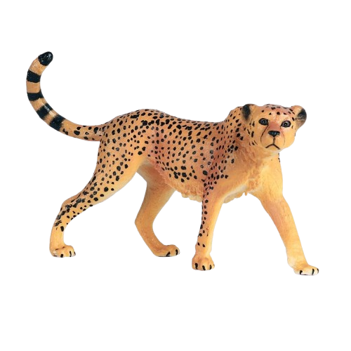 variant-image-19-removebg-preview.png